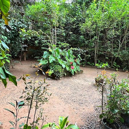 Ella Secret Paradise 外观 照片