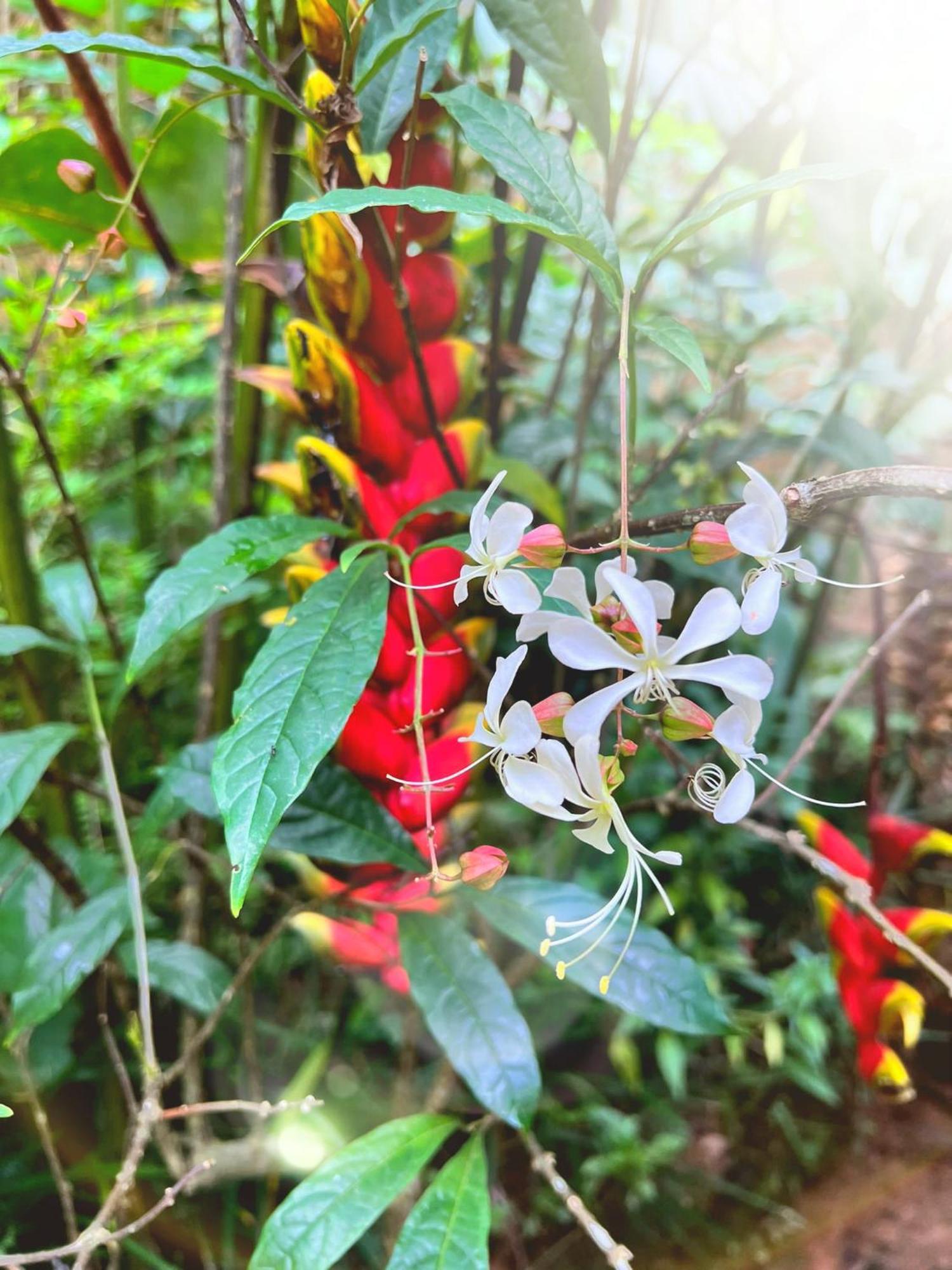 Ella Secret Paradise 外观 照片