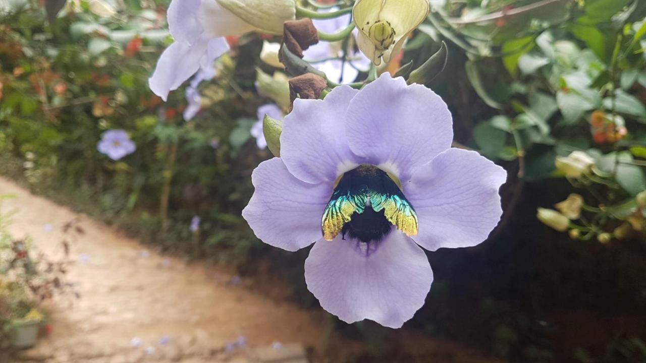 Ella Secret Paradise 外观 照片